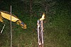 DSC07097